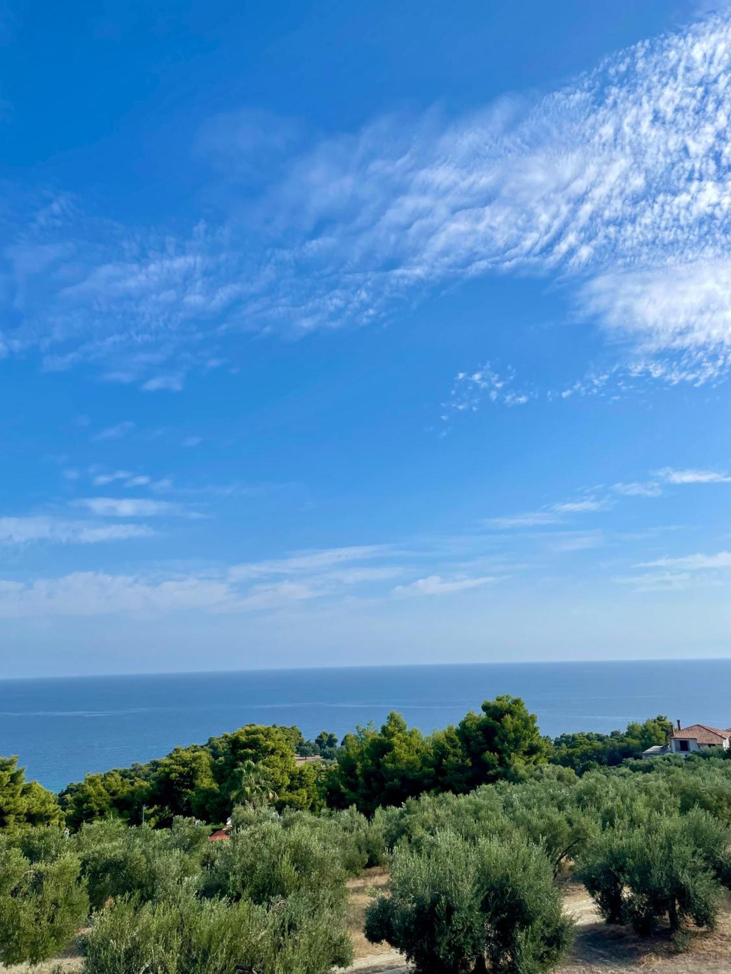 Summer House With Amazing View بوسيدي المظهر الخارجي الصورة