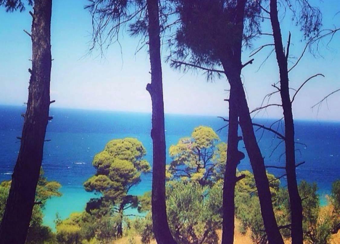 Summer House With Amazing View بوسيدي المظهر الخارجي الصورة